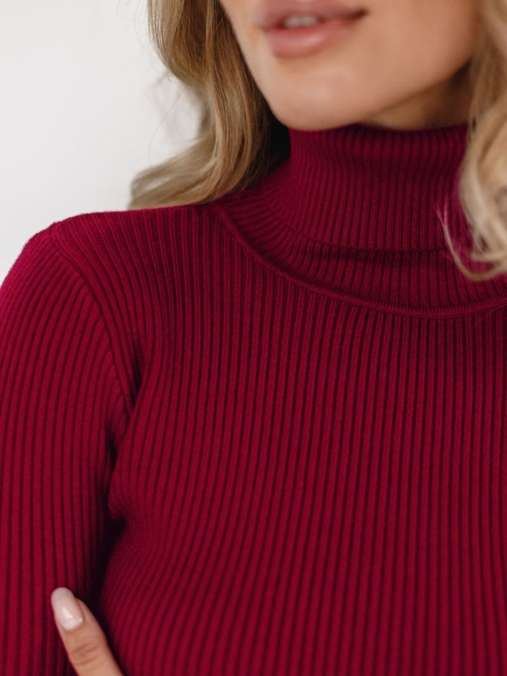 Annecy Ribbed Turtleneck Sweater