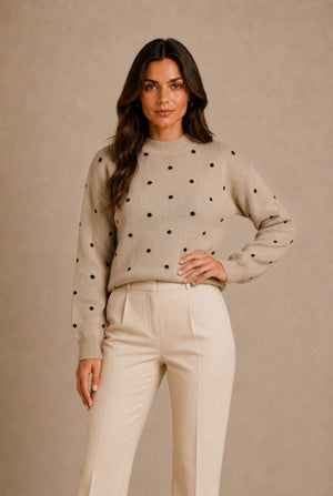 Asti Polka Dot Pullover Sweater